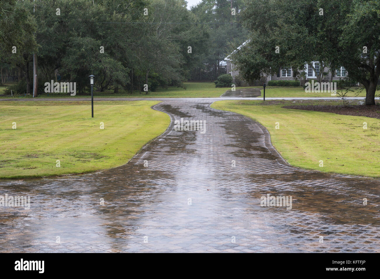 Large allée en banlieue de pluie, sc, États-Unis d'Amérique Banque D'Images