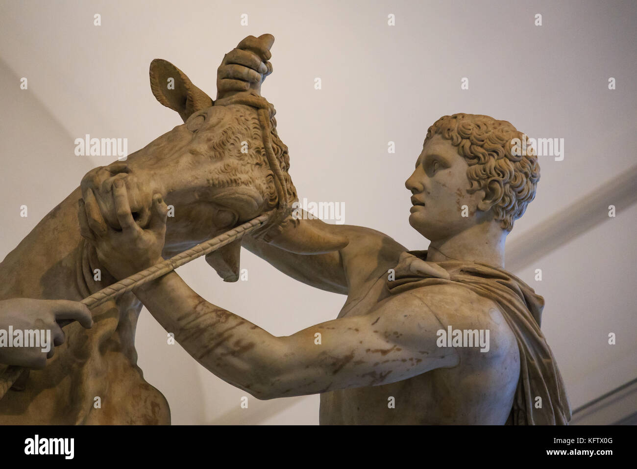 Musée archéologique national de naples, toro farnese, Naples, Italie Banque D'Images