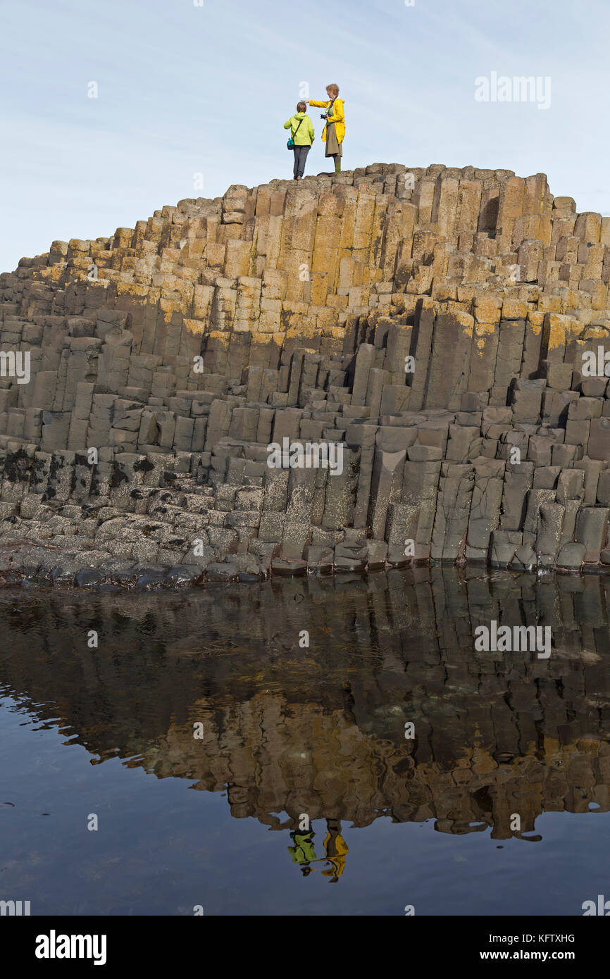 Les colonnes basaltiques, Chaussée des Géants, Bushmills, Irlande du Nord Banque D'Images