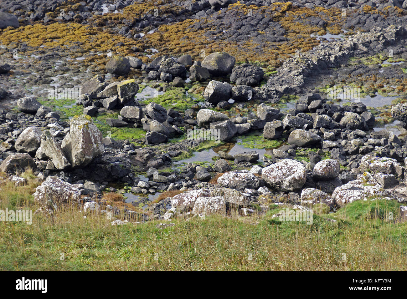 Les roches, la Chaussée des Géants, Bushmills, Irlande du Nord Banque D'Images
