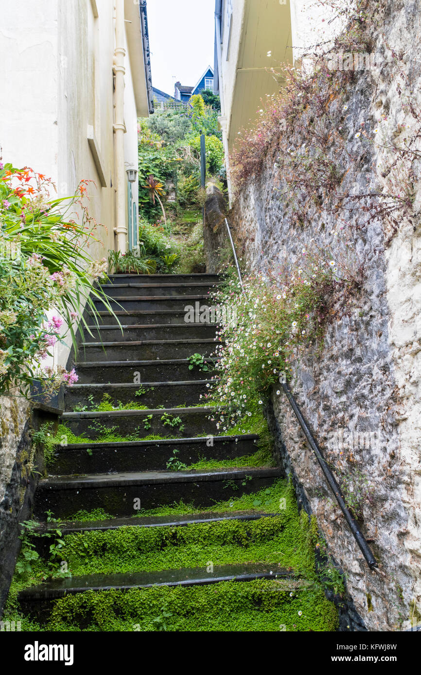 Colorés, végétation, l'ardoise marches menant à une rue ; Dartmouth Dartmouth, Devon, Angleterre. Banque D'Images