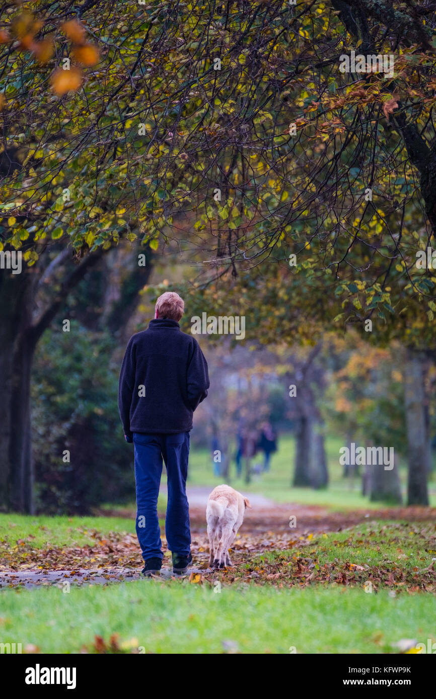 Aberystwyth pays de Galles Royaume-Uni, mercredi 1 novembre 2017 Météo britannique : les gens marchent le long de Plascrug Avenue à Aberystwyth le premier jour de novembre, avec tous les arbres à feuilles caduques qui perdent leurs feuilles dans une myriade de riches couleurs automnales photo crédit : Keith Morris/Alamy Live News Banque D'Images