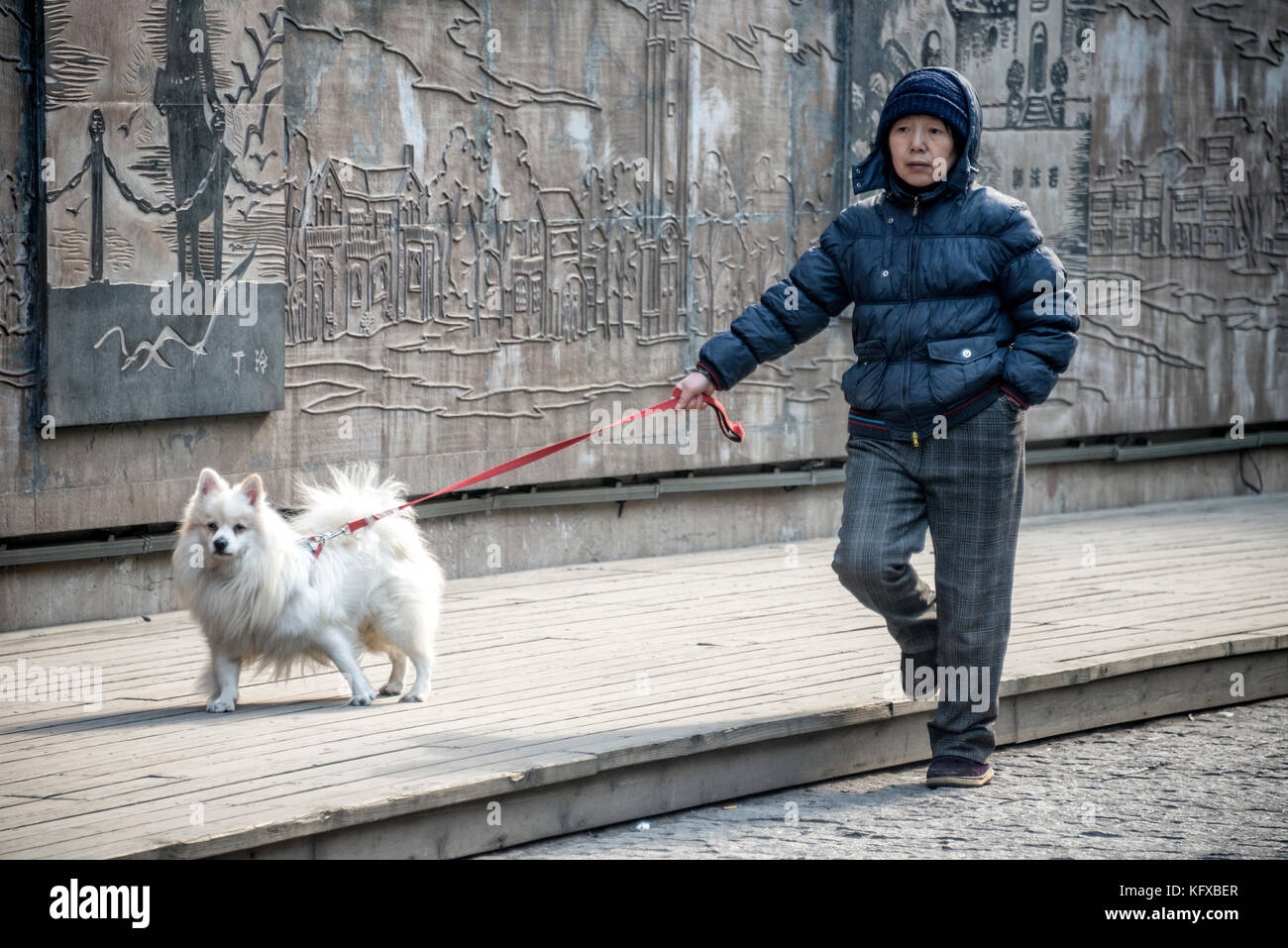 Femme marche avec son chien, Shanghai Banque D'Images