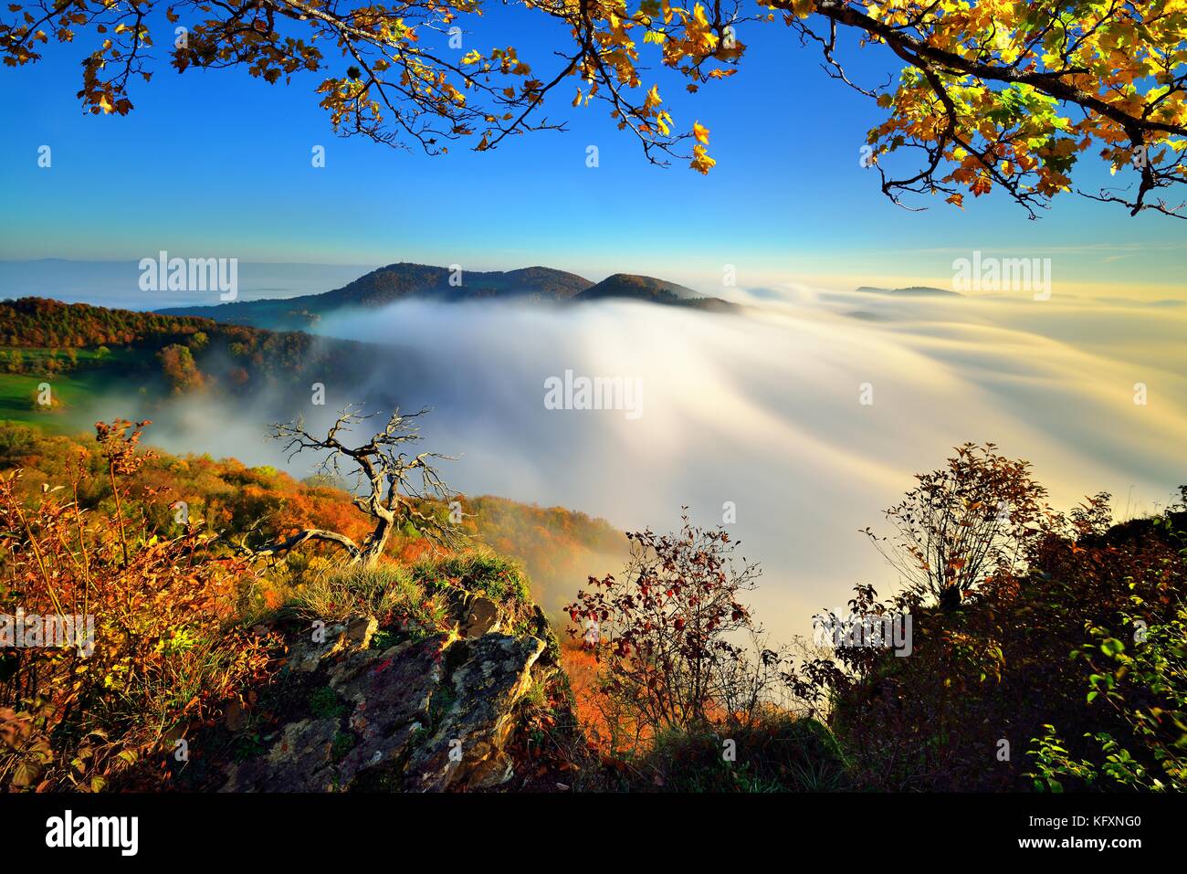 Lever de soleil sur la Wasserfée, Wasserfluh, vue sur le paysage vallonné en automne avec mer de brouillard, Parc du Jura, Jura Südfuss Banque D'Images