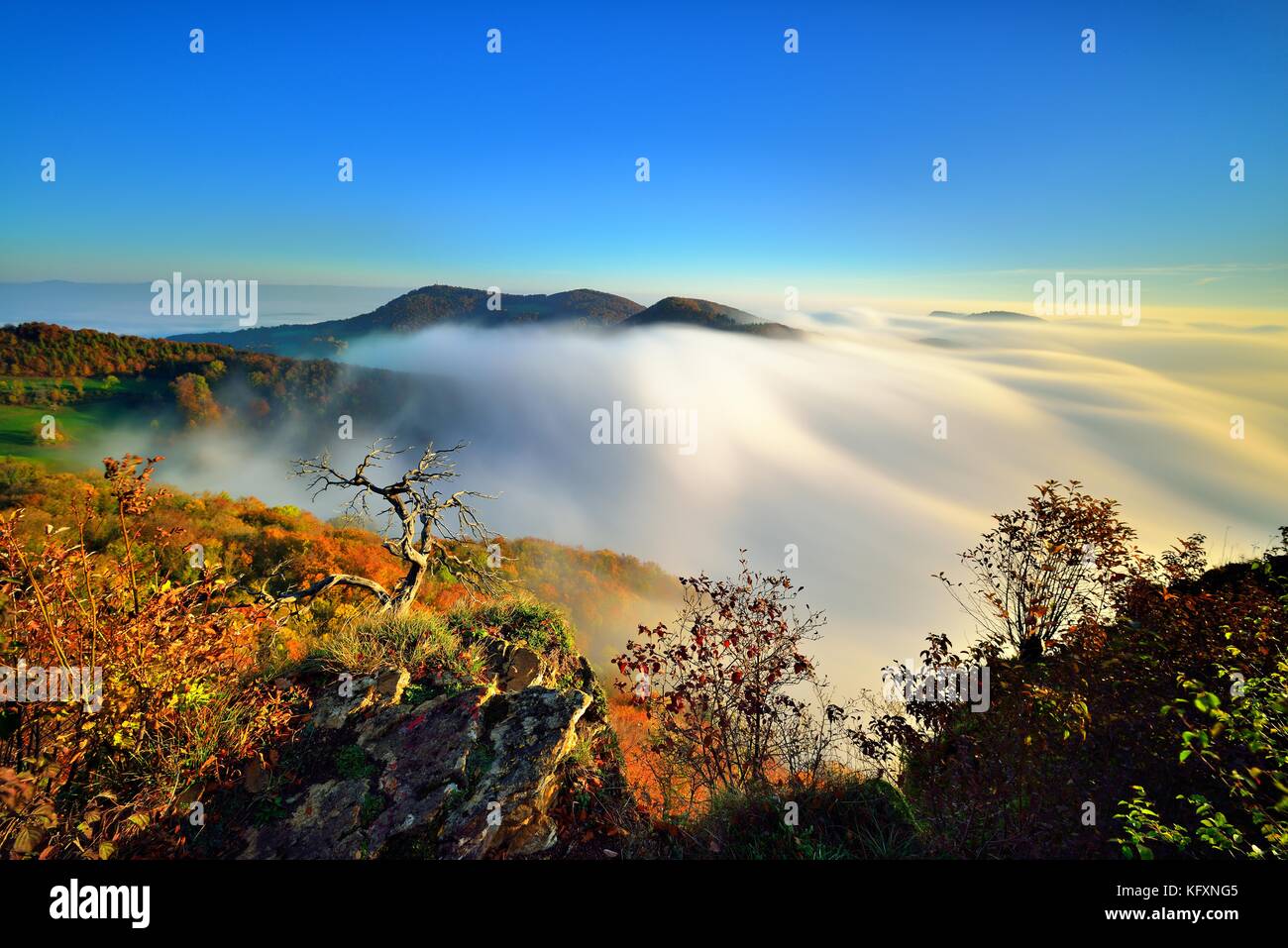 Lever de soleil sur la Wasserfée, Wasserfluh, vue sur le paysage vallonné en automne avec mer de brouillard, Parc du Jura, Jura Südfuss Banque D'Images