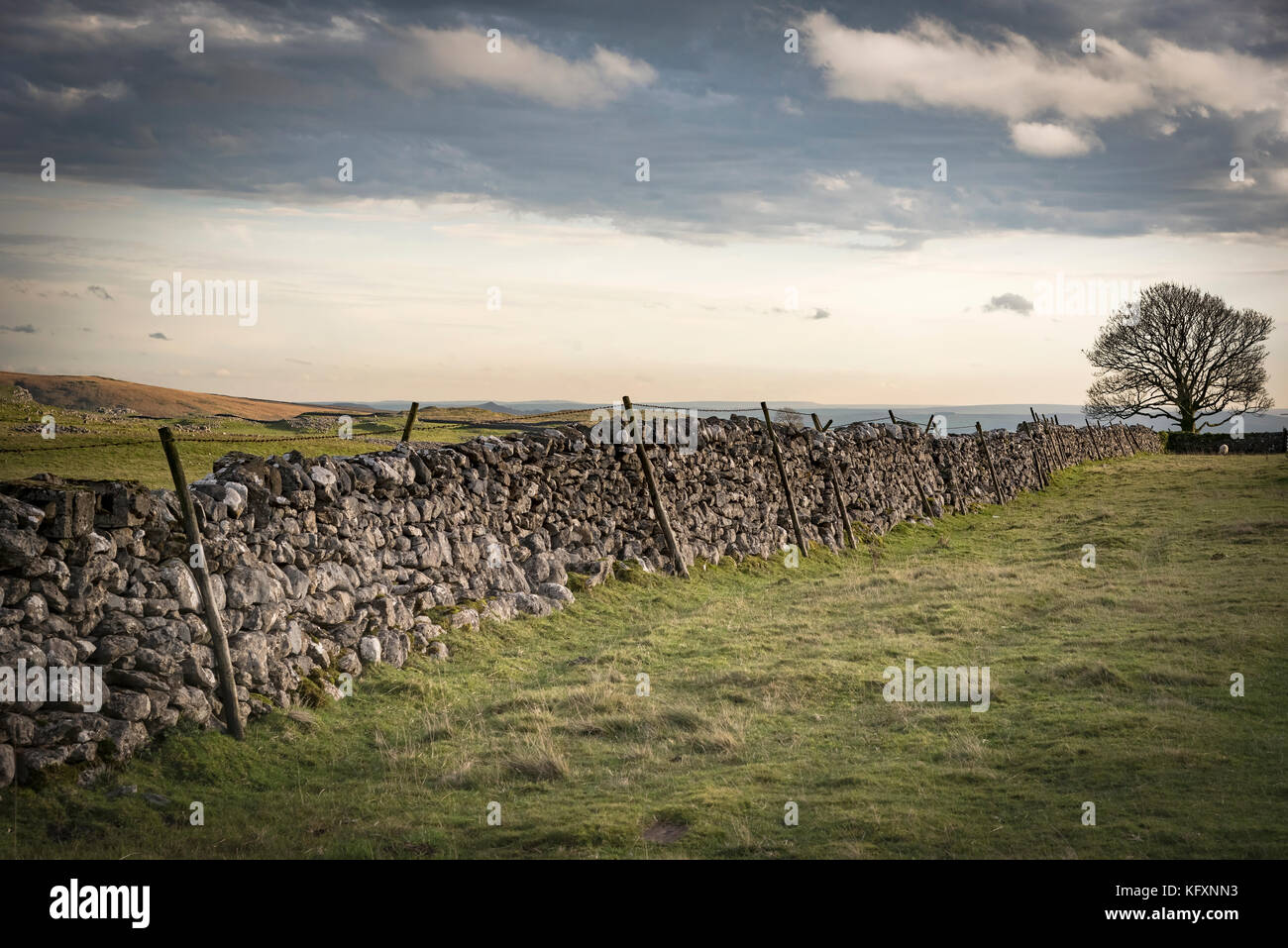 Yorkshire du Nord. Malham district. Banque D'Images