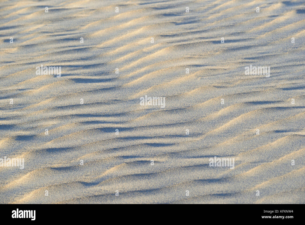 Des structures ressemblant à des vagues, ondulation dans le sable, norderney, îles de la Frise orientale, Basse-Saxe, Allemagne Banque D'Images