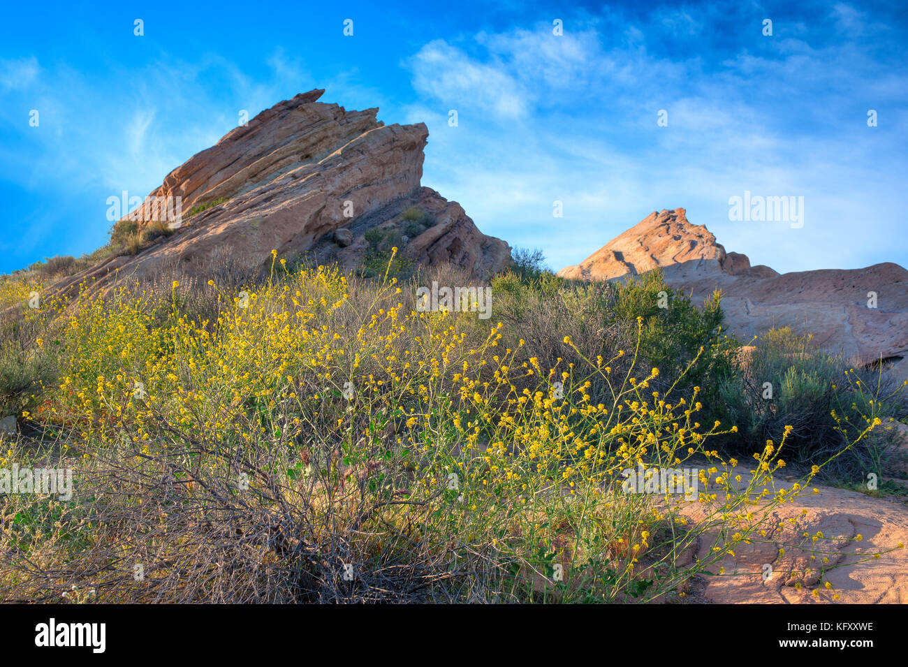 Vasquez Rocks jaune emblématique avec plantes florissantes à l'avant-plan photographié au coucher du soleil à Vasquez Rocks Parc Naturel, Santa Clarita, Californie. Banque D'Images