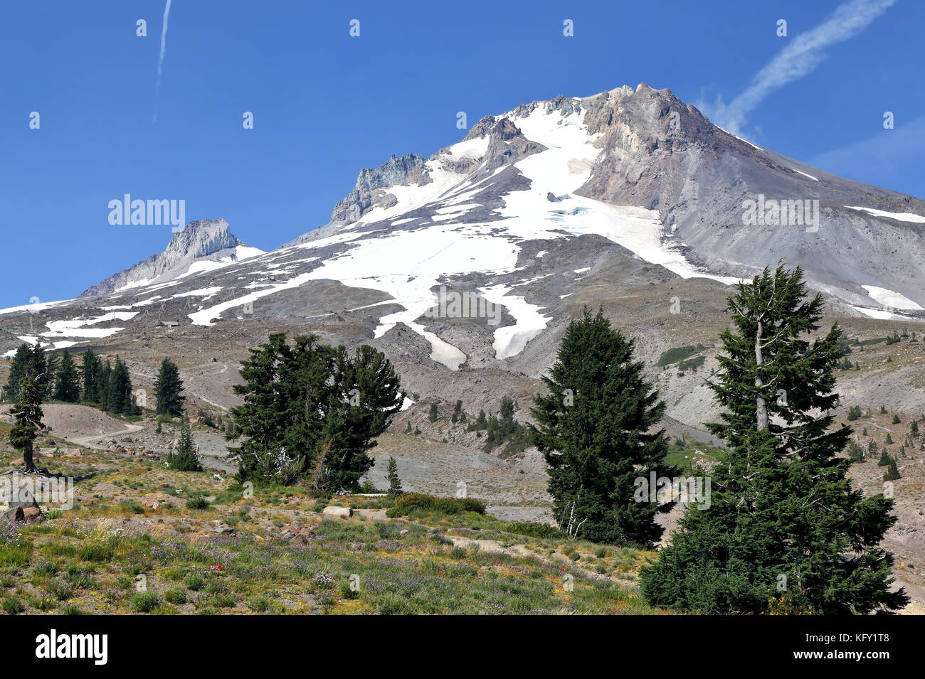 Mt hood dans l'été, de l'oregon Banque D'Images