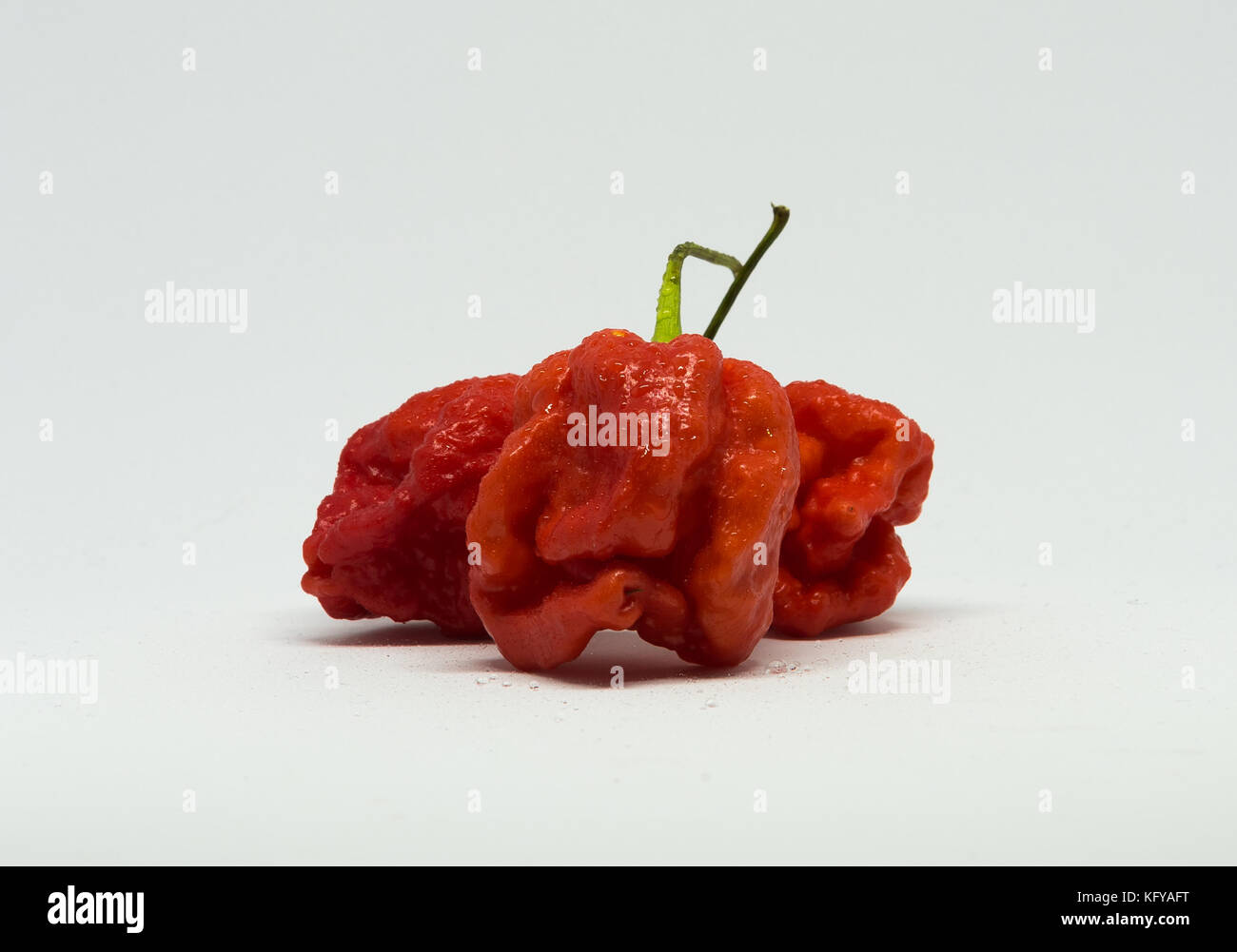 Caroline trois reaper ghost chili sur fond blanc # 2 Banque D'Images