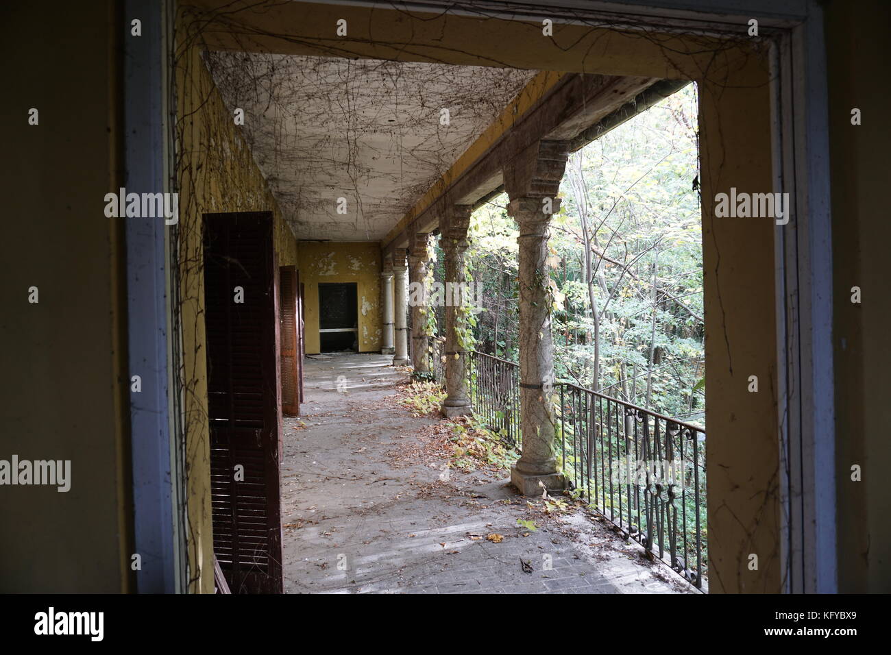 Une image de la forme d'un tableau ancien. Ici j'ai pris une photo dans un bâtiment abandonné et vous pouvez voir une entrée avec le bois de l'autre côté. Banque D'Images