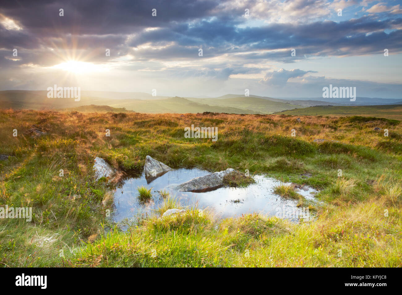 L'ouvrir, robuste, collines de Dartmoor National Park, Devon, Angleterre. photographiée près de nord vers haytor hound tor Banque D'Images