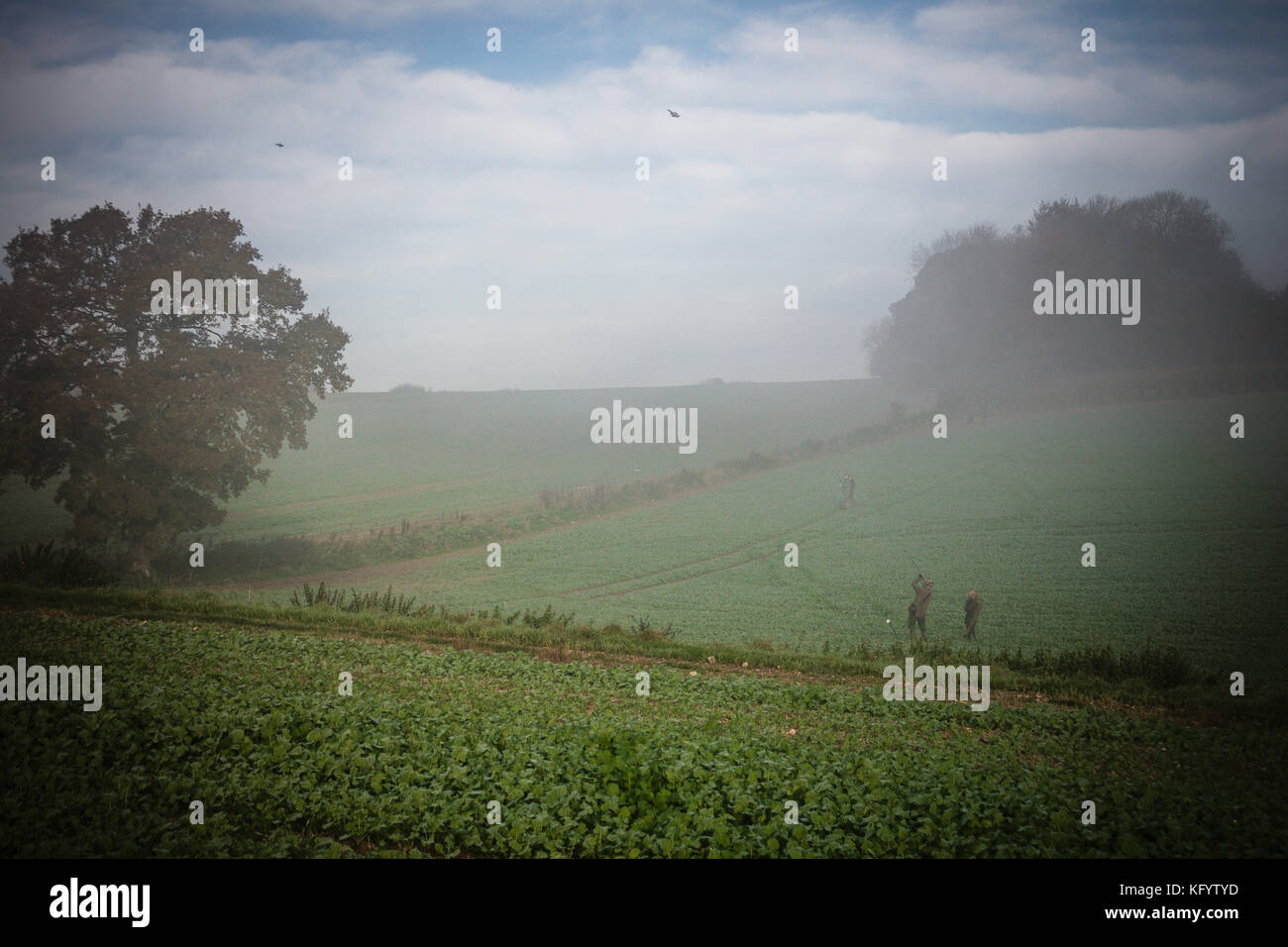 Messieurs les armes sur leurs chevilles sur faisan tirer sur un matin brumeux, Hampshire, Angleterre. Banque D'Images