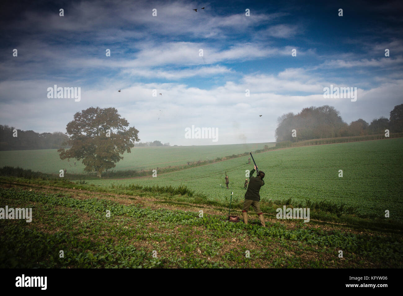 Tir au fusil de chasse faisan Gentleman shoot, Hampshire, Angleterre. Banque D'Images