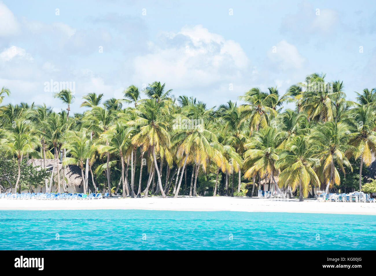 Mer des Caraïbes aux eaux turquoises et de palmiers près de l'île de Saona Banque D'Images