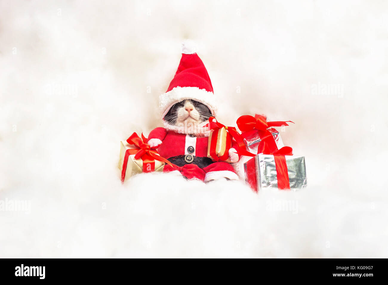 Noël et nouvel an, joyeux Noël sur la saison d'hiver avec coin nuit santa cat l'air fatigué après envoi de cadeaux concept. funny photo de chat sur l'époque de Noël. Banque D'Images