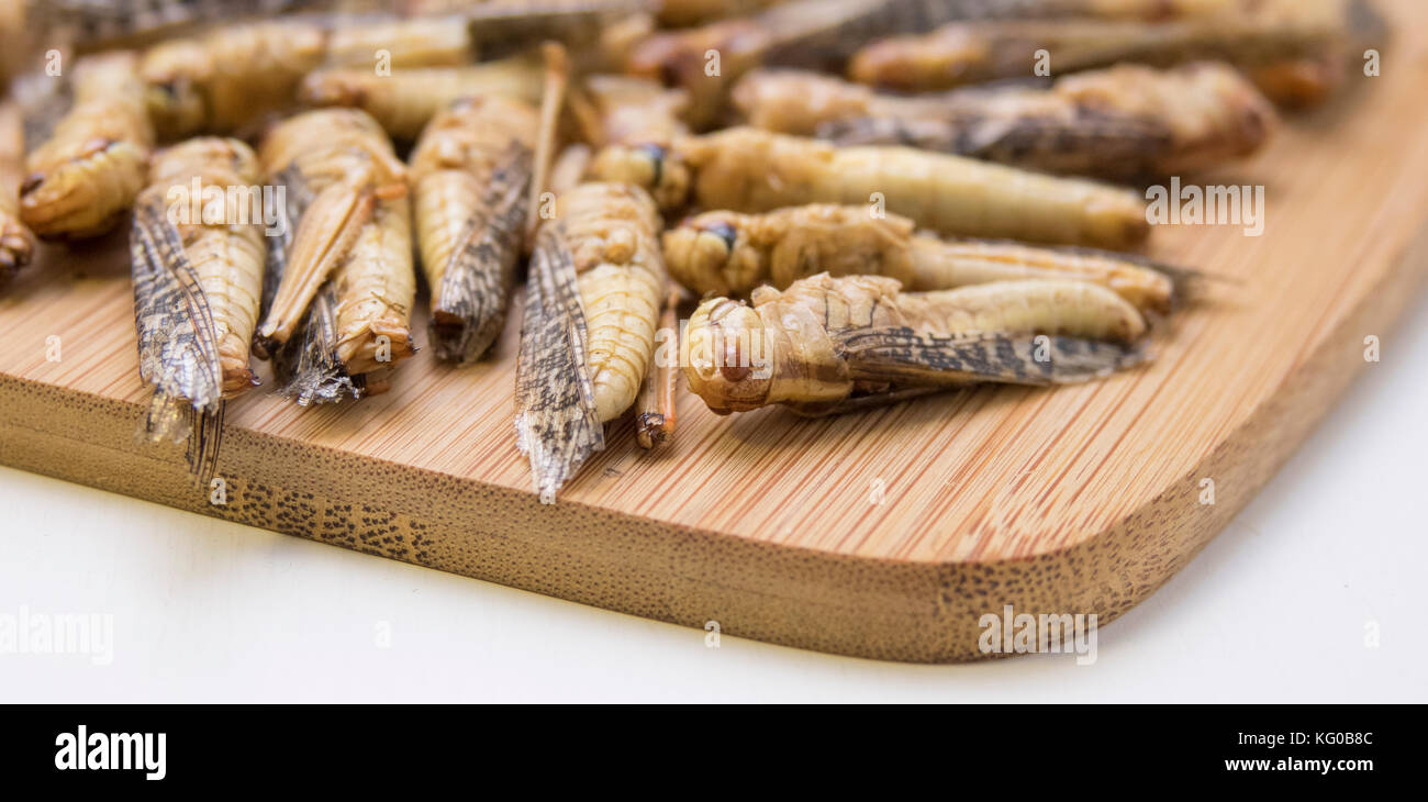 Les sauterelles séchées sur bord de coupe en cuisine. insectes comestibles comme produit alimentaire avec des protéines et de la nutrition. Banque D'Images