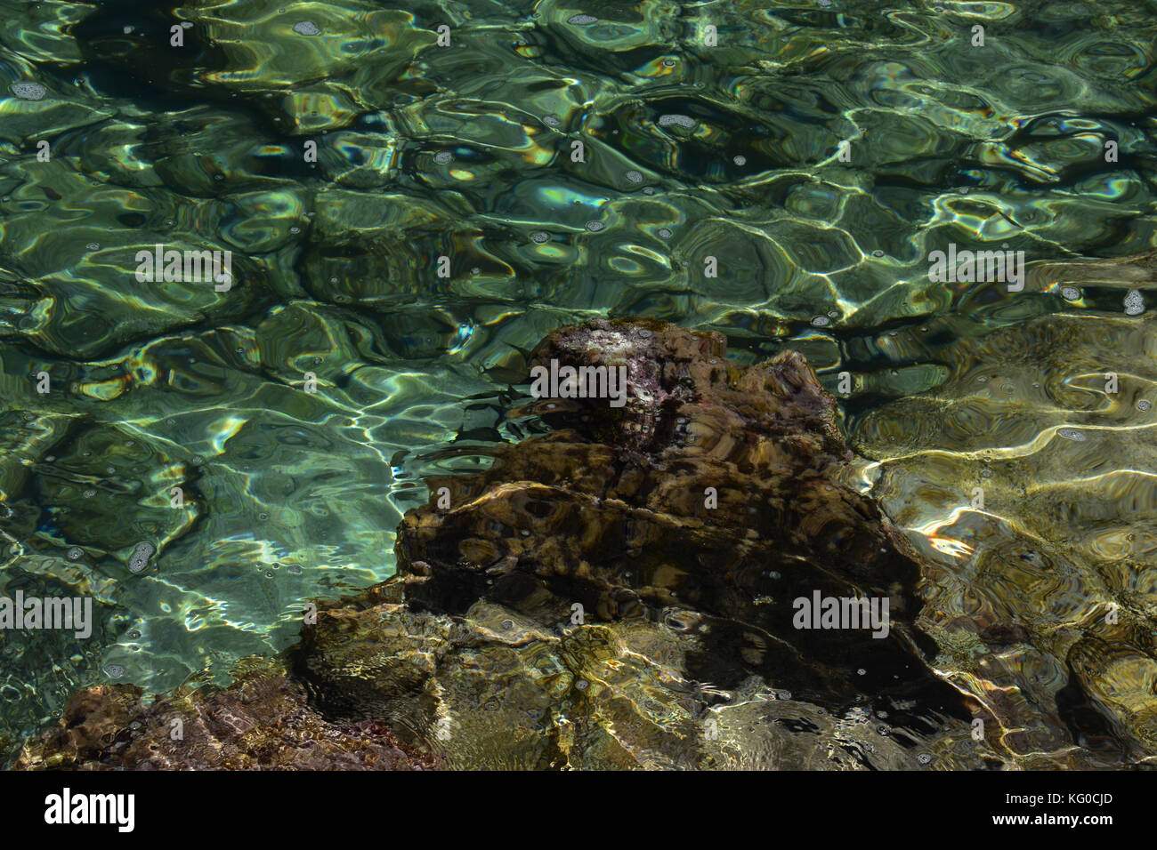 Poissons nager autour d'un rocher dans la mer cristalline sur une belle journée ensoleillée sur l'île grecque de Céphalonie Banque D'Images