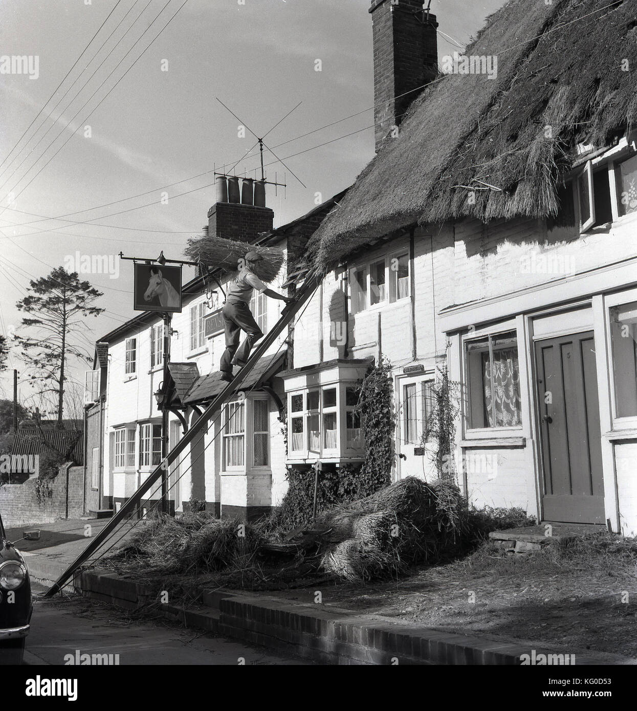 Années 1950, historique photo montre un homme d'une échelle d'escalade thatcher transportant quelques nouvelles de la chaume sur son épaule pour mettre sur le toit d'un chalet, England, UK. Banque D'Images