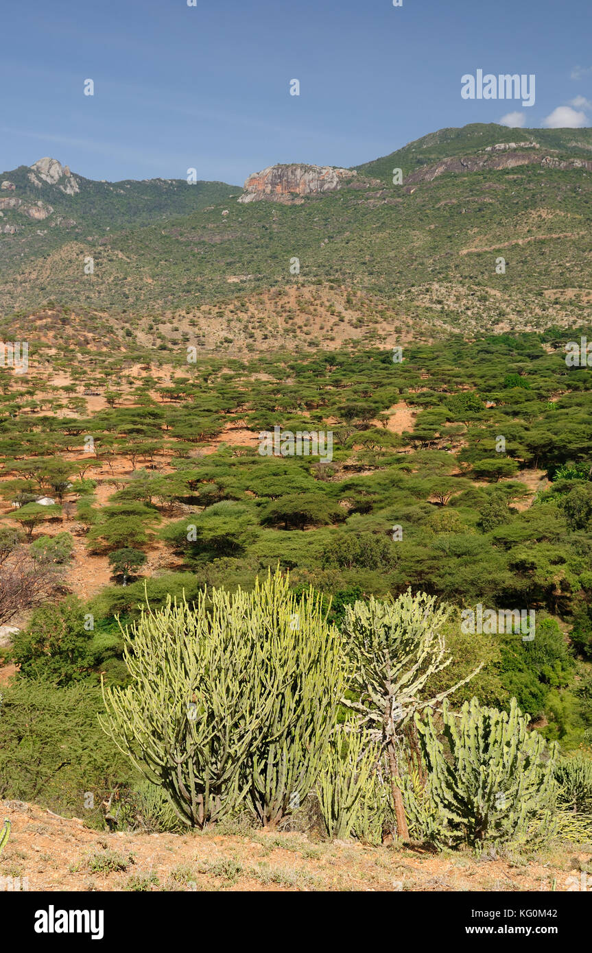 Les paysages de montagne dans un environnement de la south horr village de samburu au Kenya Banque D'Images