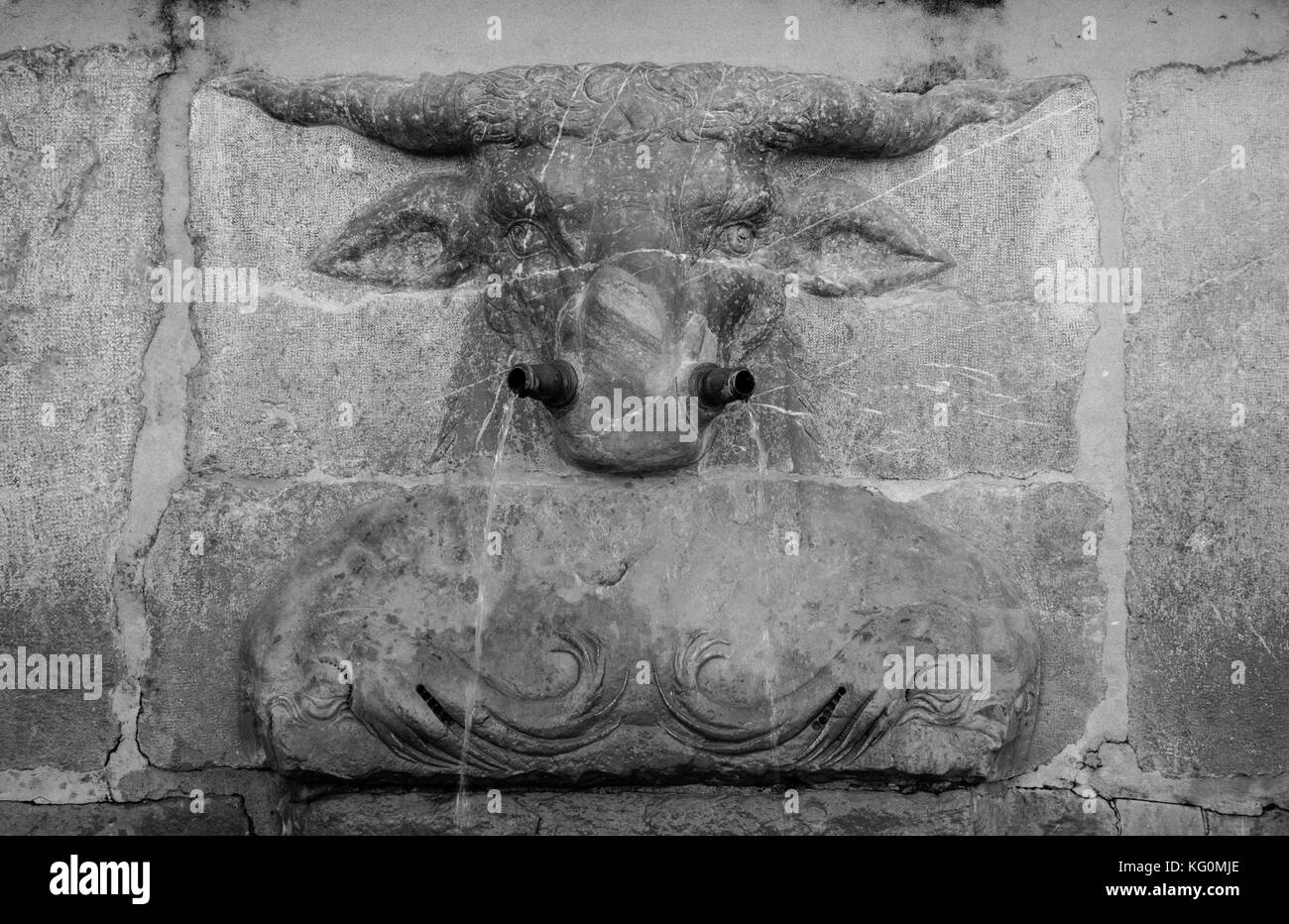 Fontaine bull close up en noir et blanc Banque D'Images