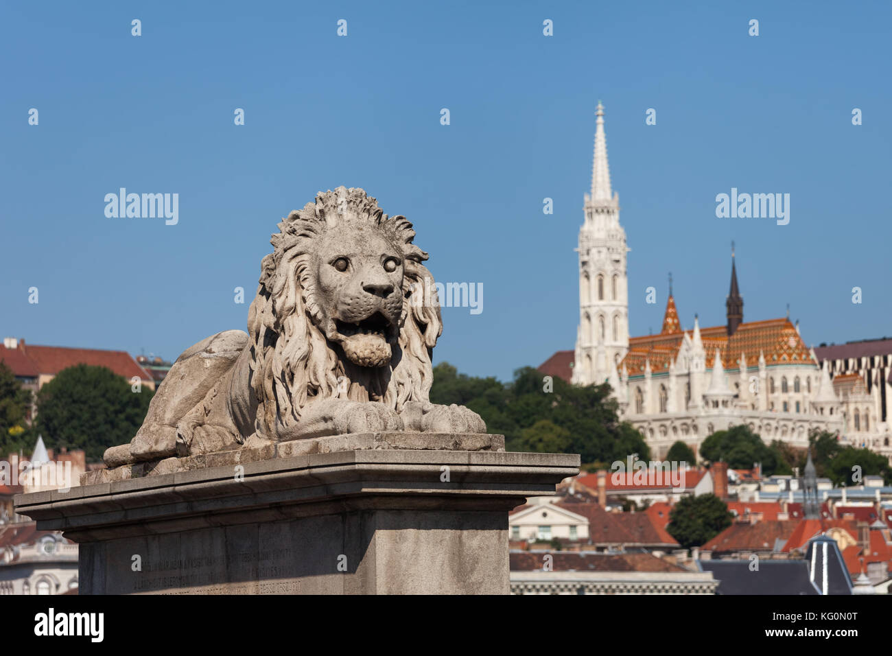 La Hongrie, Budapest, la sculpture du Lion de 1852 sur le Pont des Chaînes et Matthias Church dans l'arrière-plan Banque D'Images