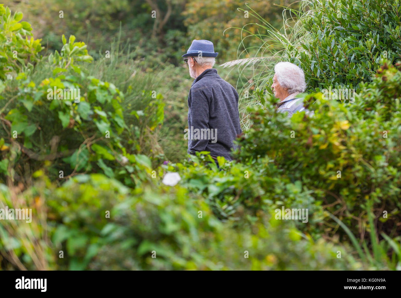 Couple de personnes âgées marchant dans un parc en automne au Royaume-Uni. Banque D'Images