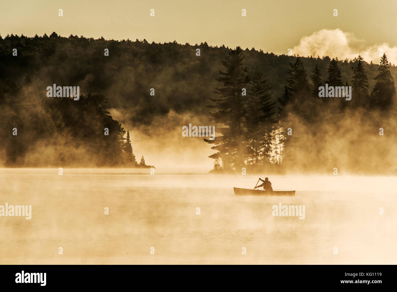 Canada Ontario Lake of Two Rivers canoe canot sur l'eau brouillard brouillard lever du soleil heure d'or sur l'eau en algonquin national park Banque D'Images