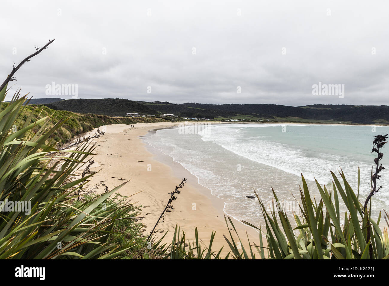 Le wild curio bay dans la région de Catlins par la mer de Tasmanie en Nouvelle-Zélande île du sud près de la ville de invercargill Banque D'Images