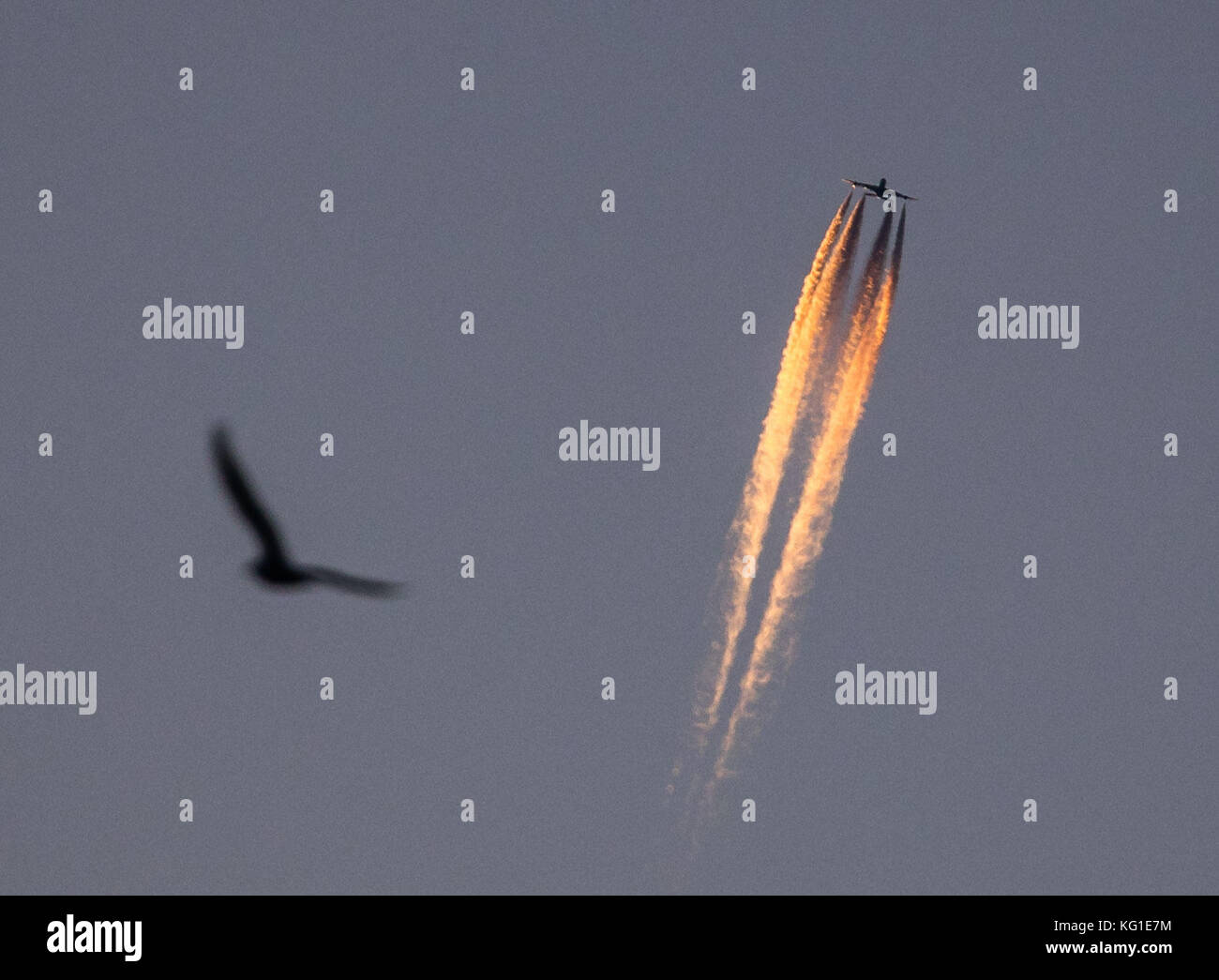 Francfort-sur-le-main, Allemagne. 02 novembre 2017. Un avion dessinant de courtes traînées pendant les heures du lever du soleil à Francfort-sur-le-main, Allemagne, 2 novembre 2017. Crédit : Frank Rumpenhorst/dpa/Alamy Live News Banque D'Images