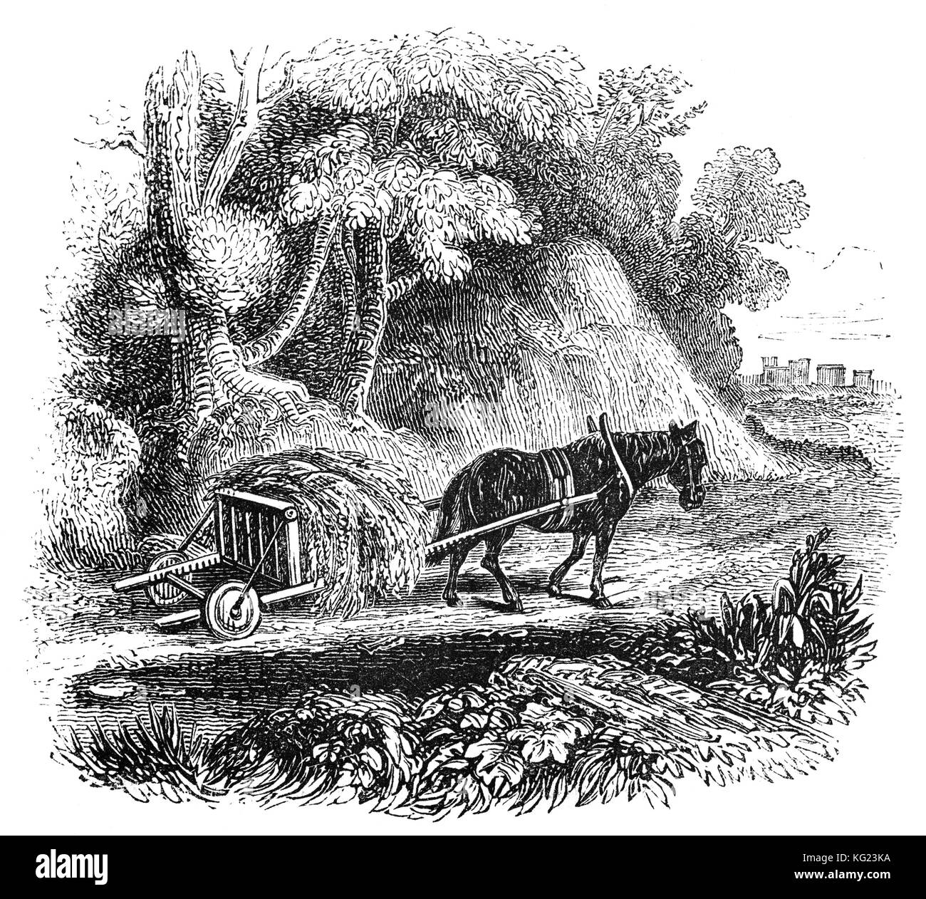 Un simple panier utilisé pour transporter des produits agricoles dans les pays de Galles pendant le 1er siècle avant JC. Banque D'Images