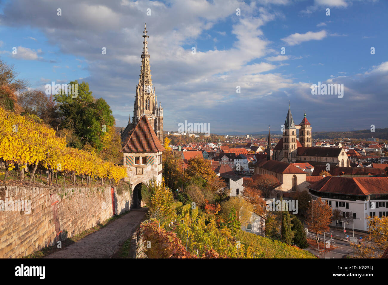 Vue des vignobles à Esslingen avec église Saint Dionys et église Frauenkirche, Esslingen, Bade-Wurtemberg, Allemagne, Europe Banque D'Images