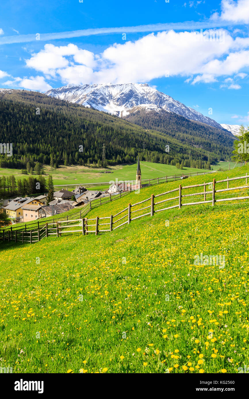 Village alpin de s-chanf entouré de vertes prairies au printemps, canton des Grisons maloja, Région, Suisse, Europe Banque D'Images