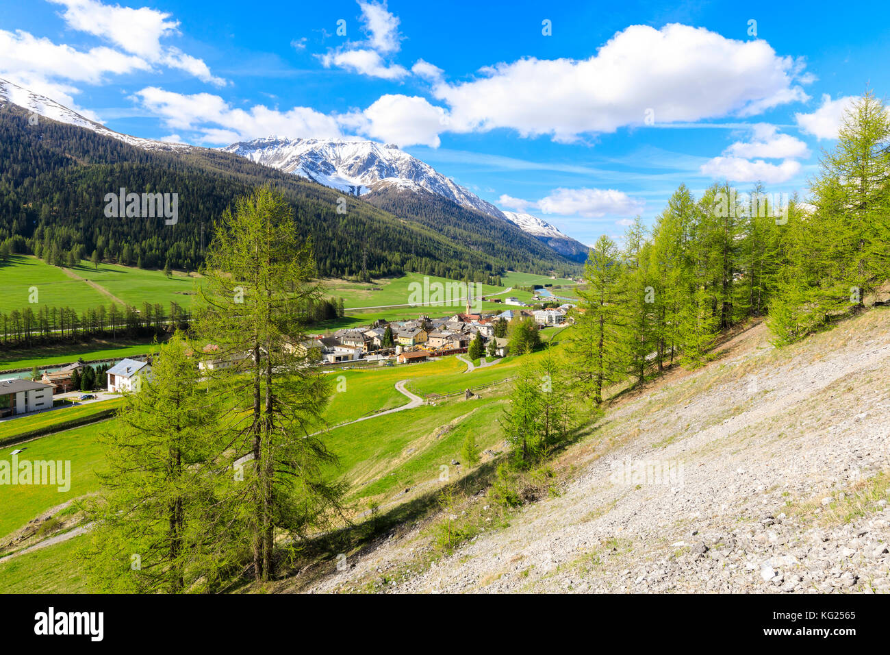 Village alpin de s-chanf entouré de vertes prairies au printemps, canton des Grisons maloja, Région, Suisse, Europe Banque D'Images