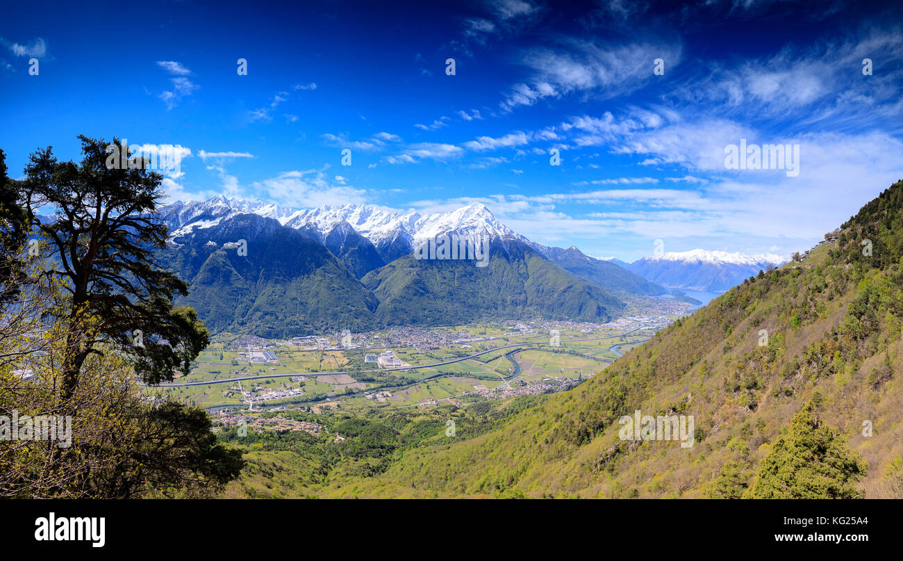 Vue panoramique des Alpes Rhétiques au printemps de prati, nestrelli civo, province de Sondrio, Valtellina, Lombardie, Italie, Europe Banque D'Images