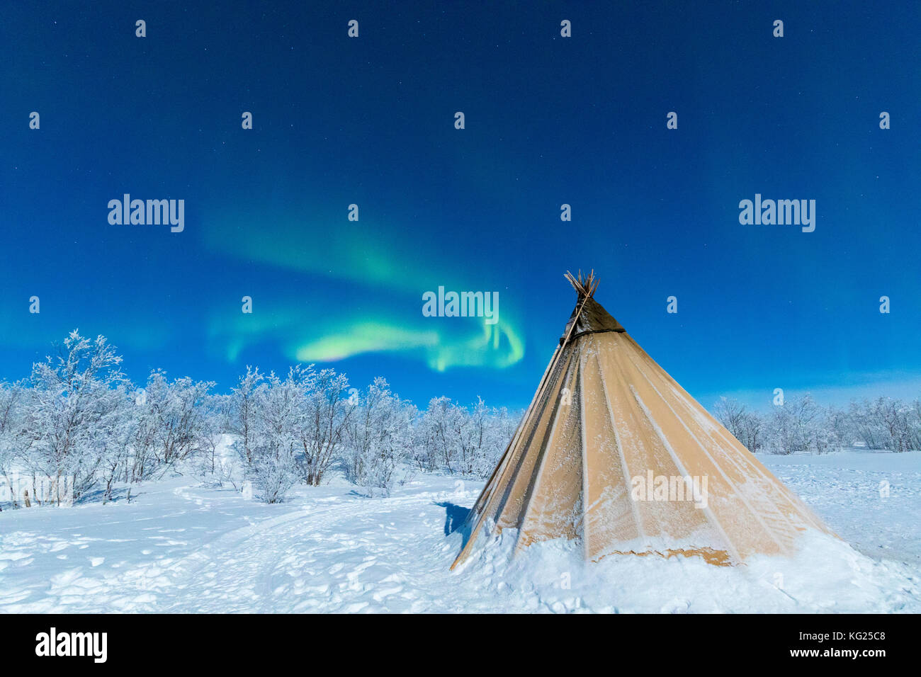 Sami isolé tente dans la neige sous Northern Lights (aurores boréales), abisko, municipalité du comté de Norrbotten, Kiruna, Lapland, Sweden Banque D'Images Sami isolé tente dans la neige sous Northern Lights (aurores boréales), abisko, municipalité du comté de Norrbotten, Kiruna, Lapland, Sweden Banque D'Images