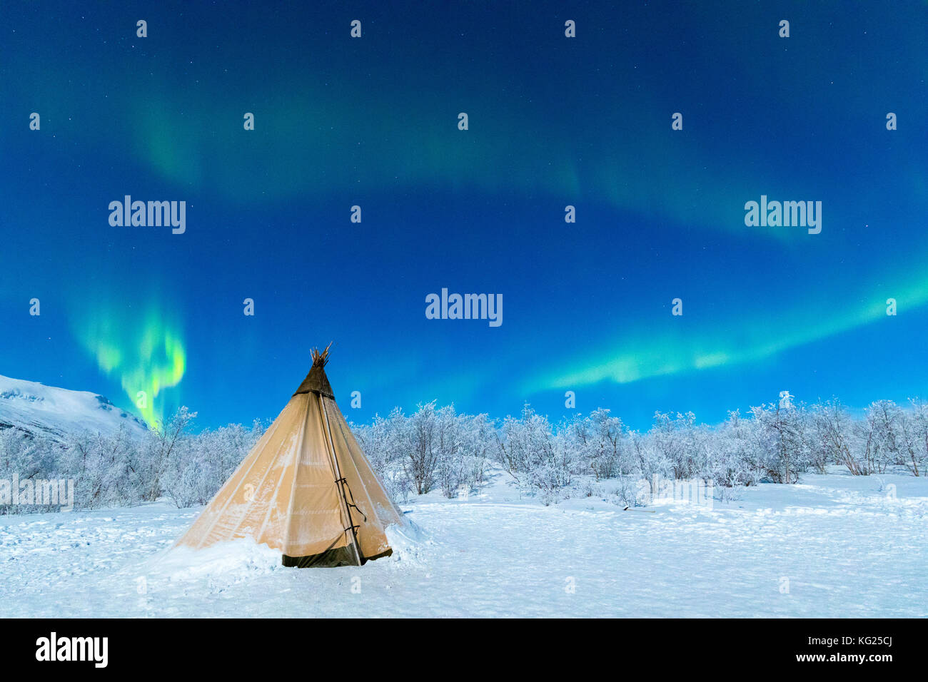Sami isolé tente dans la neige sous Northern Lights (aurores boréales), abisko, municipalité du comté de Norrbotten, Kiruna, en Laponie, Suède, Scandinavie Banque D'Images Sami isolé tente dans la neige sous Northern Lights (aurores boréales), abisko, municipalité du comté de Norrbotten, Kiruna, en Laponie, Suède, Scandinavie Banque D'Images