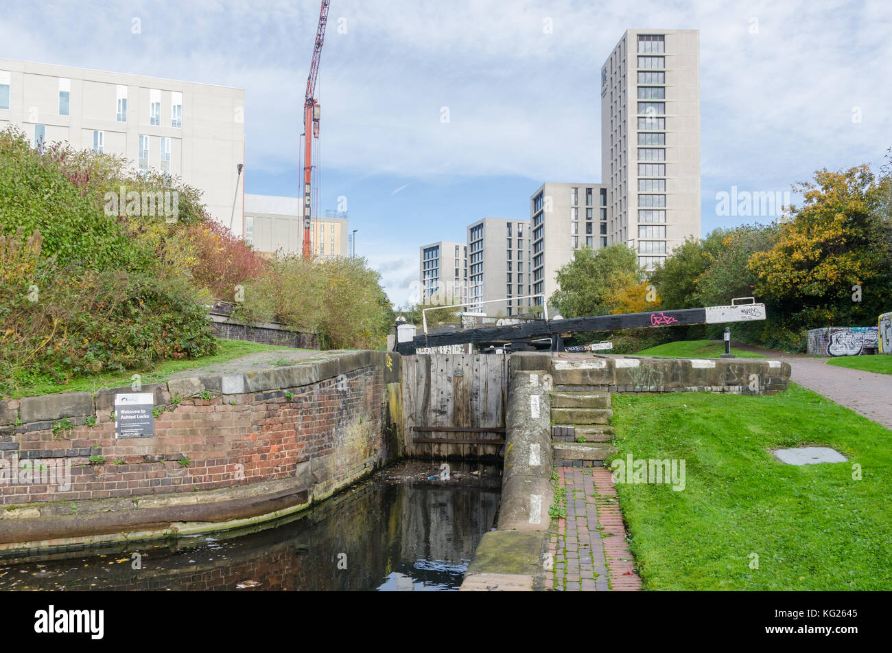 L'Université de Birmingham au bord du canal et les bâtiments pour l'hébergement des étudiants dans le quartier est de Birmingham Banque D'Images