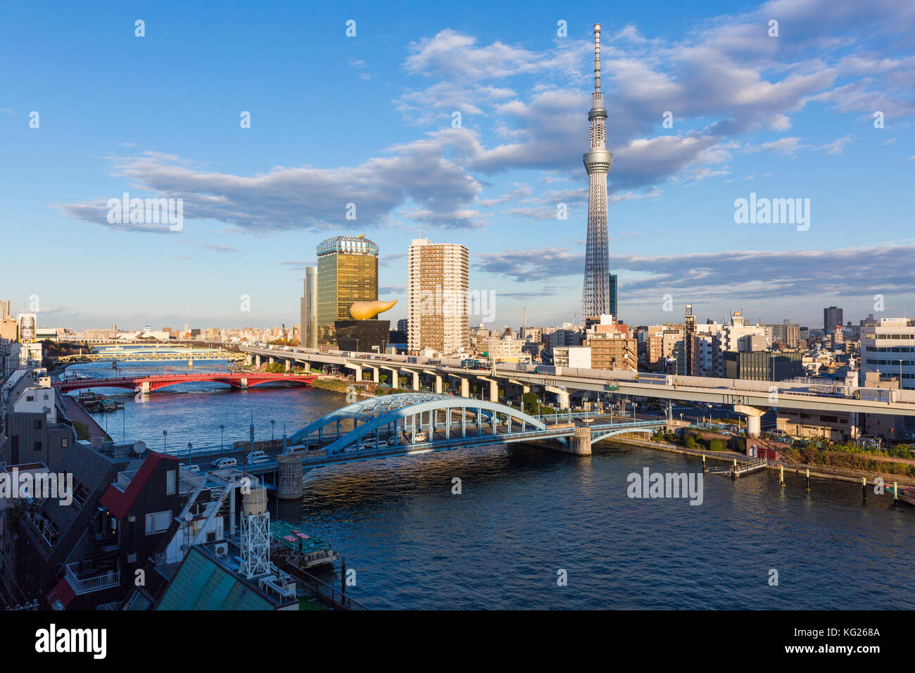 Skyline et Skytree sur la rivière Sumida, Tokyo, Japon, Asie Banque D'Images