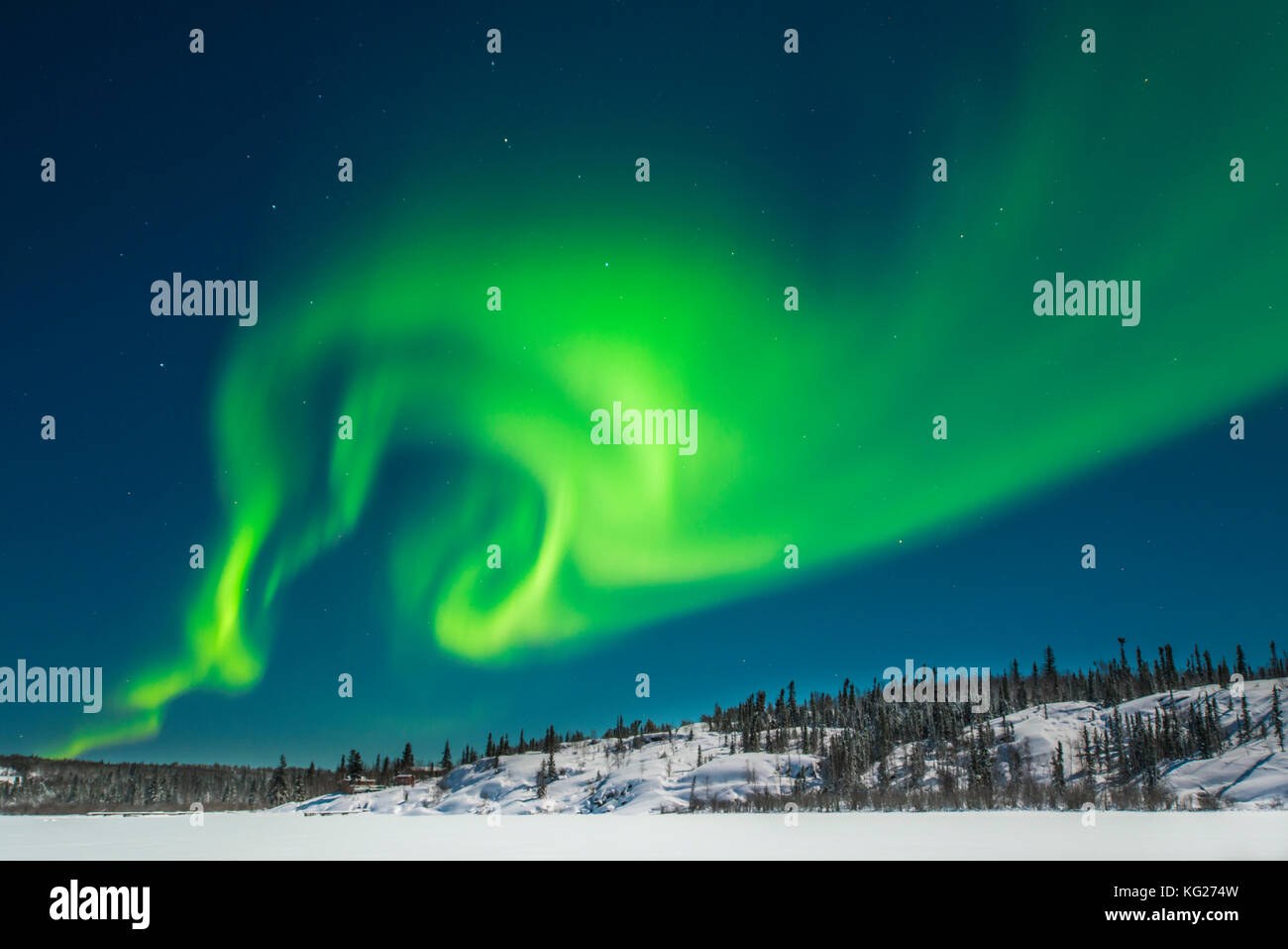 Aurore boréale), Yellowknife, Territoires du Nord-Ouest, au Canada, en Amérique du Nord Banque D'Images