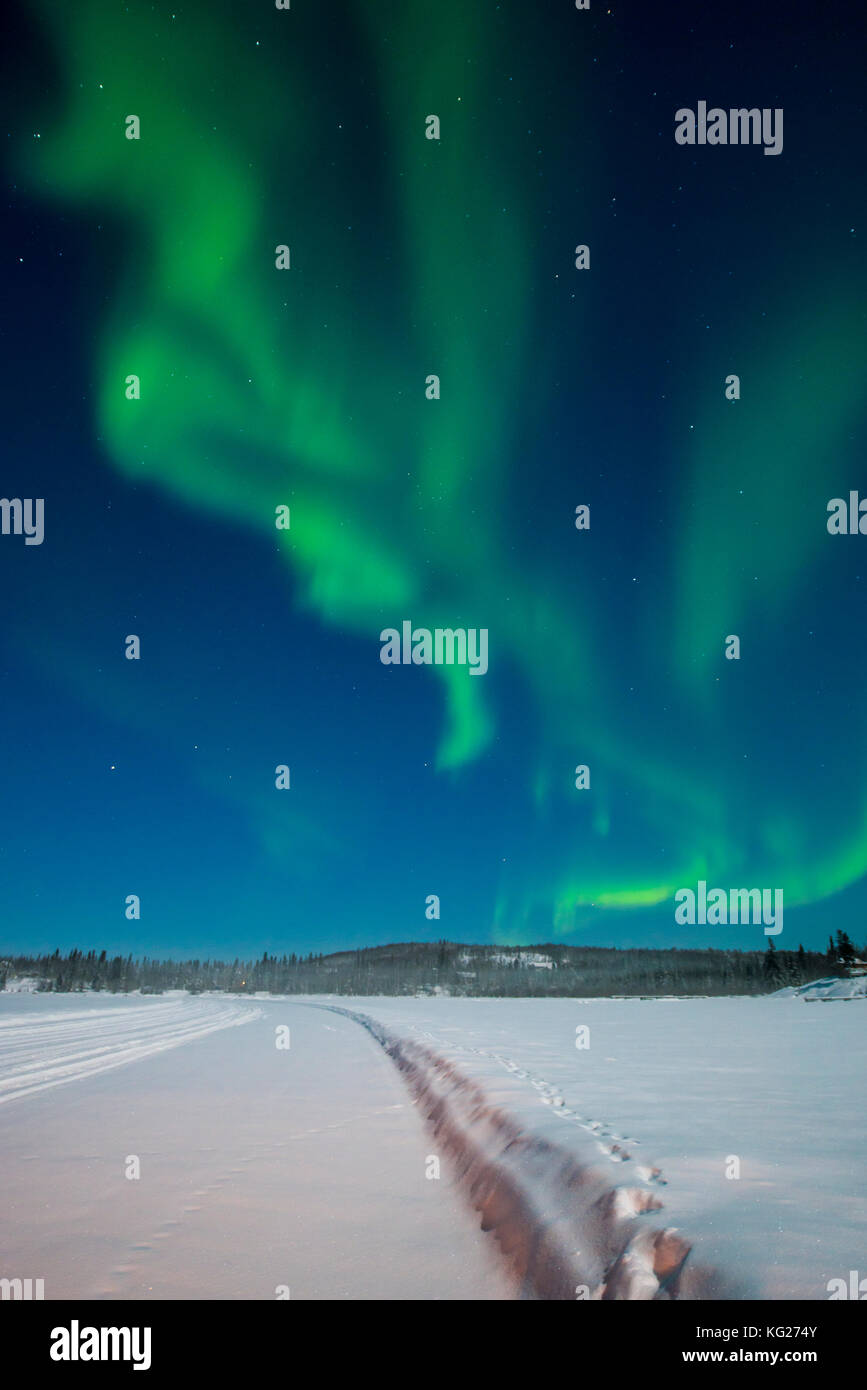 Aurore boréale), Yellowknife, Territoires du Nord-Ouest, au Canada, en Amérique du Nord Banque D'Images