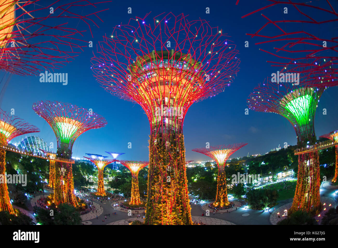 Jardins à Supertrees par la baie, illuminé de nuit, à Singapour, en Asie du Sud-Est, l'Asie Banque D'Images