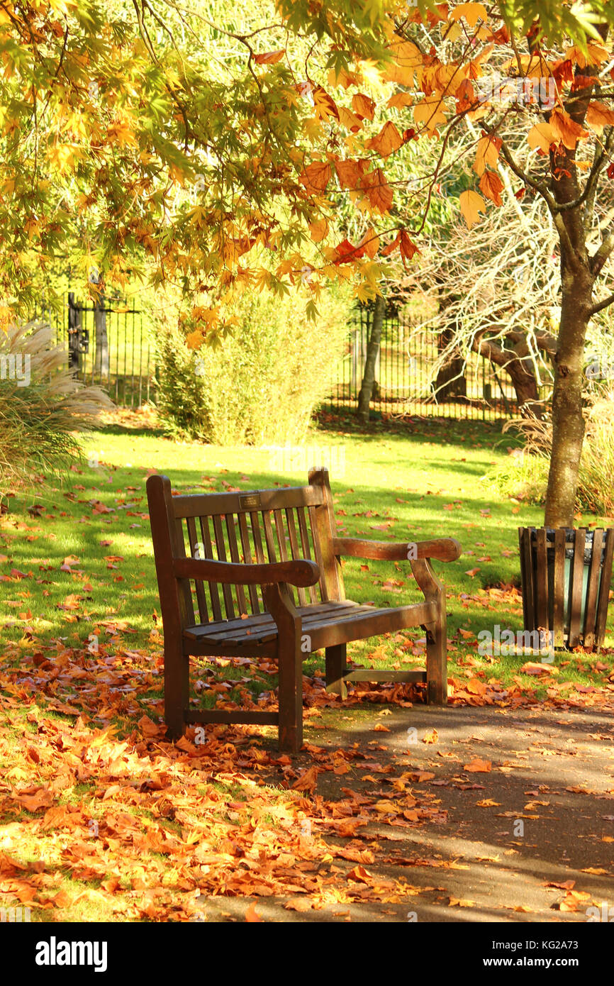 Paysage d'automne. Banc à Royal Victoria Park, Angleterre ; somerset bath ; Banque D'Images