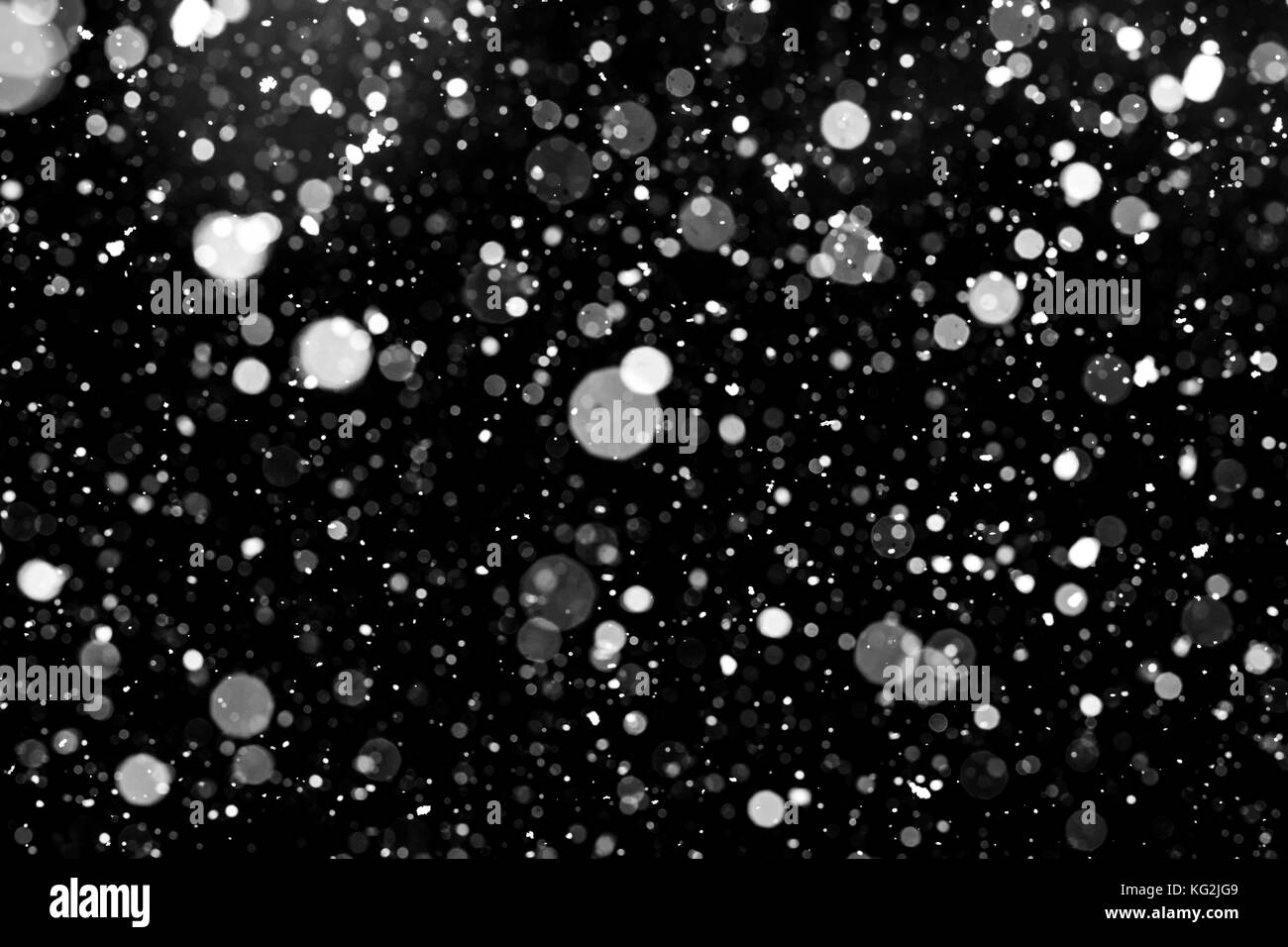 Chute de neige sur fond noir. Banque D'Images