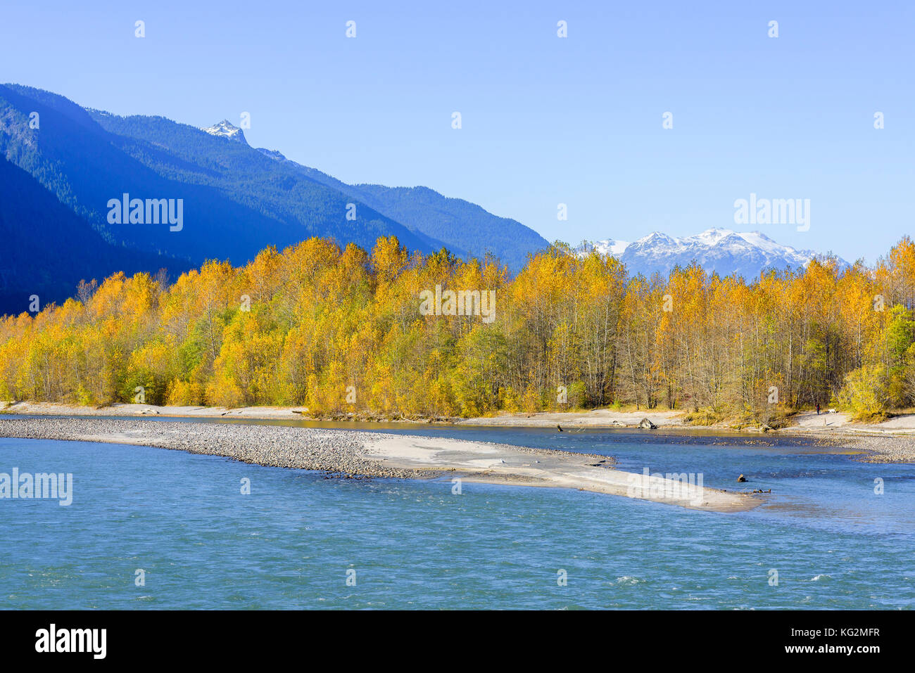 Voir à partir d'Eagle Run Park, la rivière Squamish, Brackendale, British Columbia, Canada. Banque D'Images