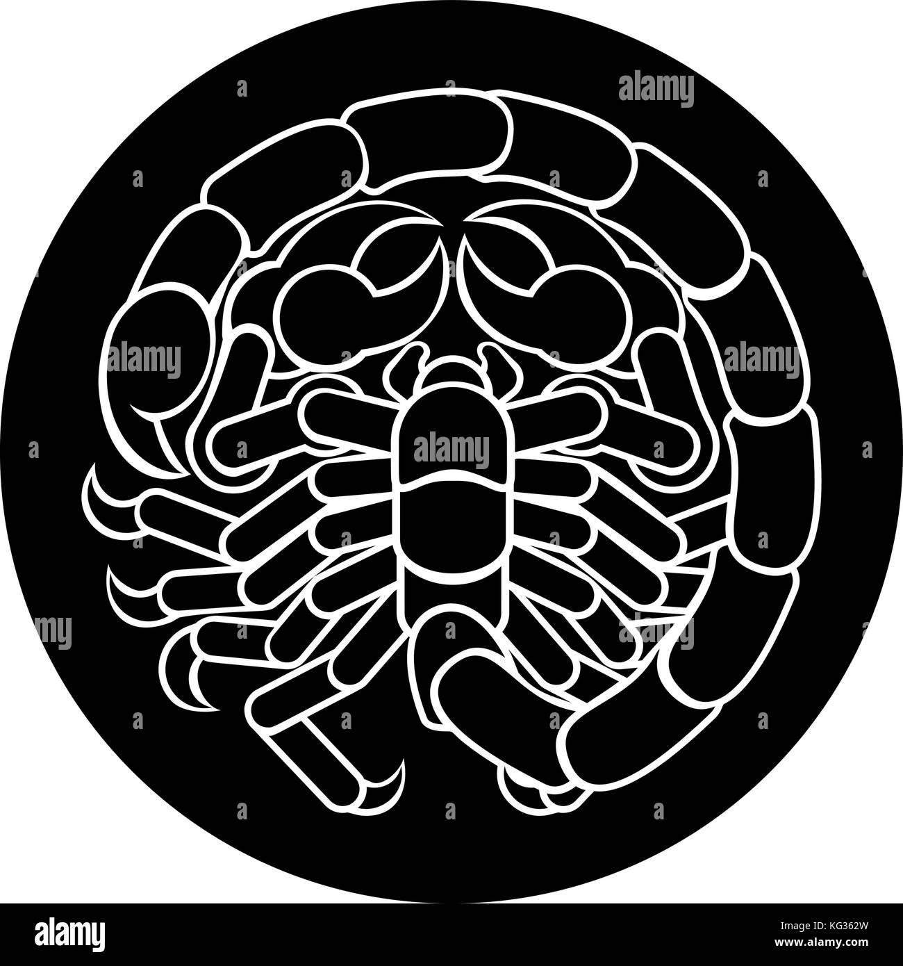 Scorpion Scorpion signe zodiaque Illustration de Vecteur