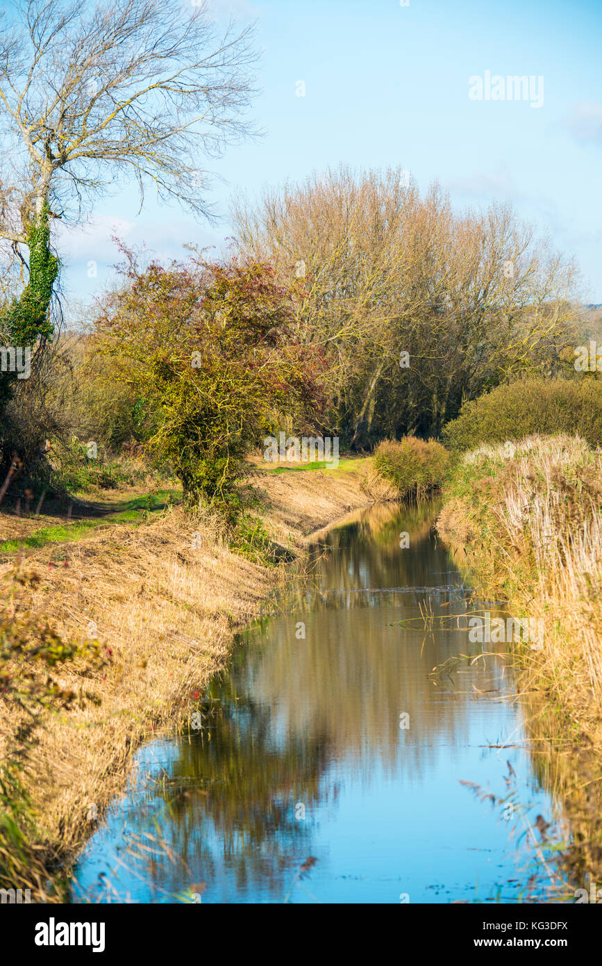 Coupe de roseaux dans le Combe Valley Countryside Park, East Sussex. Un coupe-roseau géant de tracteur est utilisé avec la conséquence malheureuse des lits de roseau écrasés Banque D'Images