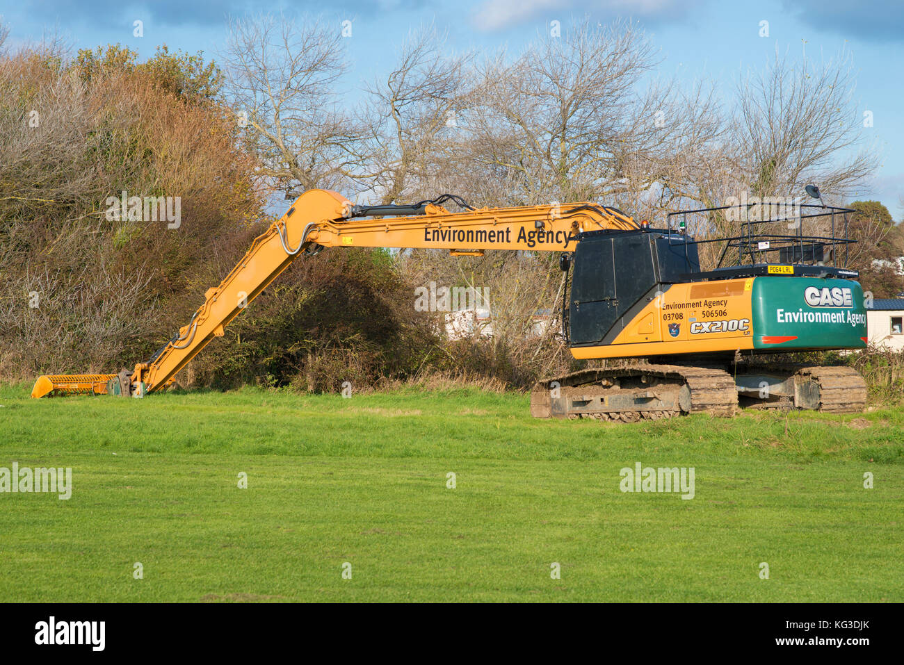 Coupe de roseaux dans le Combe Valley Countryside Park, East Sussex. Un coupe-roseau géant de tracteur est utilisé avec la conséquence malheureuse des lits de roseau écrasés Banque D'Images