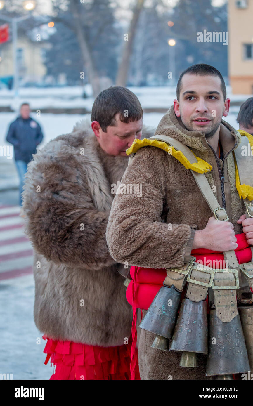 Pernik, Bulgarie - 27 janvier 2017 : kouker est recieveing aide pour le serrage de ceinture de ses cloches par un autre participant à la mars à surva, t Banque D'Images