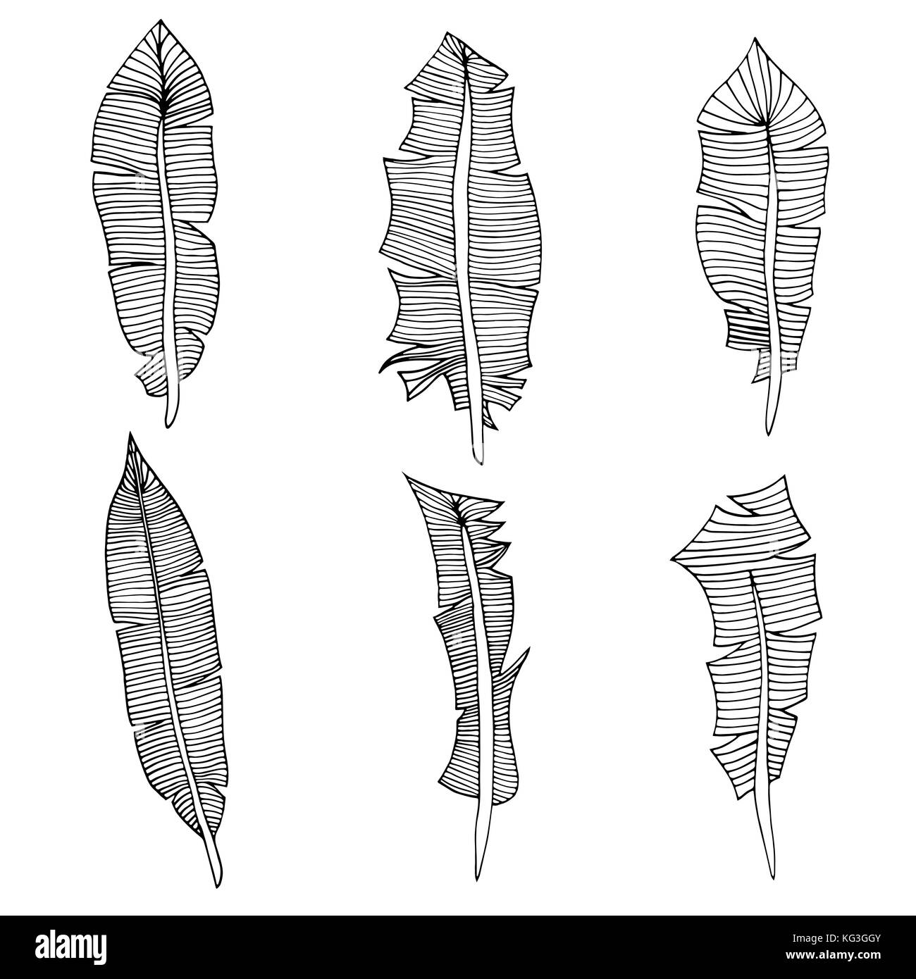 Jeu de plumes. vector illustration. isolated on white Illustration de Vecteur